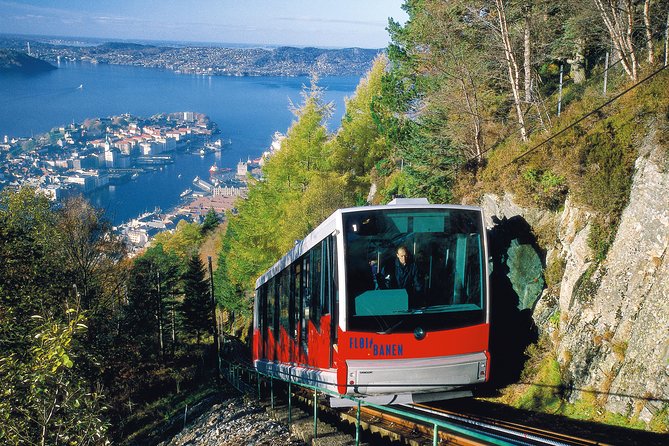 PRIVATE TOUR: Bergen city sightseeing, 5 hours - Royal Presence at Gamlehaugen