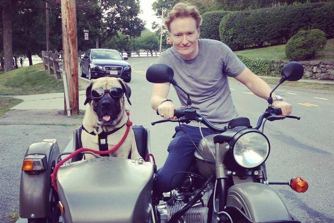 Private Tour: Best of Lisbon by Sidecar - Exploring Lisbon’s Trendy Districts: Bairro Alto and Chiado