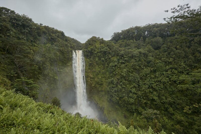 Private Tour Big Island Zipline over KoleKole Falls - Return Journey and Hotel Drop-off