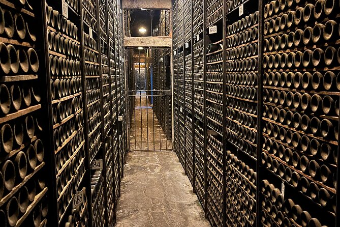 Private tour Bilbao to La Rioja A day of Winery Tours and Tasting - What’s Included: A Well-Prepared Tasting Experience