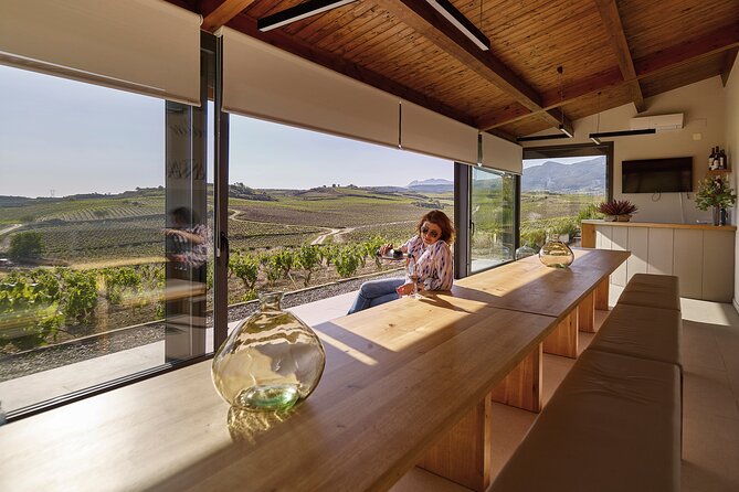 Private tour Bilbao to La Rioja A day of Winery Tours and Tasting - Comfort and Accessibility of the Tour