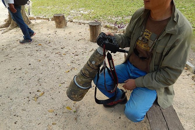 Private Tour: Birdwatching from Cancun - Key Points