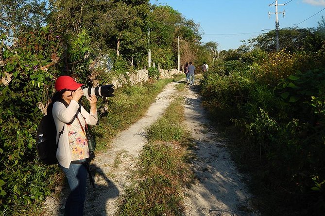 Private Tour: Birdwatching Playa del Carmen - How the Tour Is Valued for Money