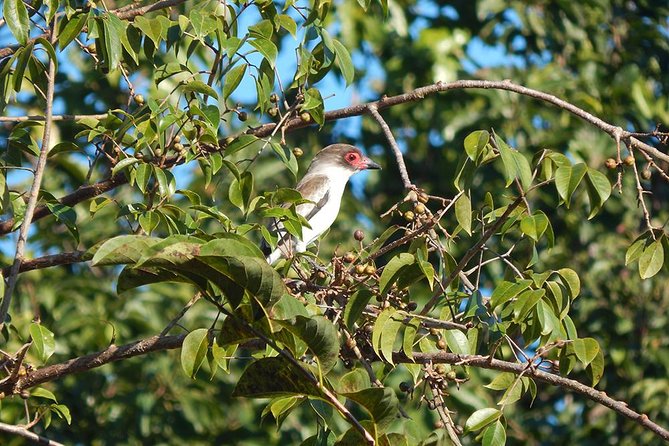 Private Tour: Birdwatching Playa del Carmen - Why This Tour Stands Out