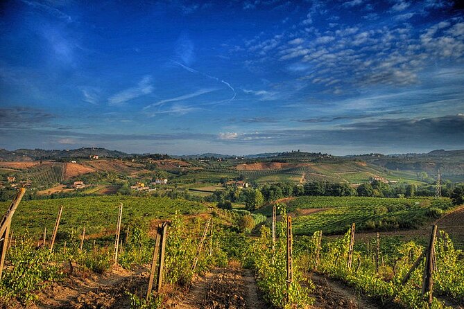 Private tour Brunello di Montalcino and Nobile di Montepulciano wine experience in Tuscany - The Review of Wine Tasting Quality