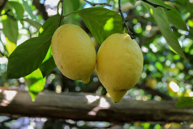 Private Tour by Car from Sorrento to the Amalfi Coast - Practical Details: Meeting Point, Timing, and Booking