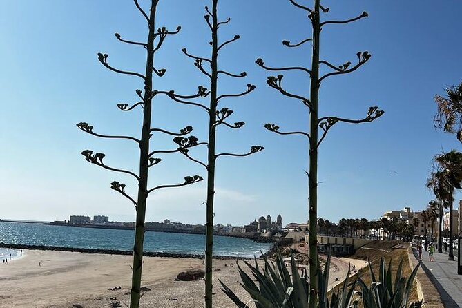 Private tour Cadiz: the city of light - Explore Cádiz’s Heart with a Private Guide for Just Over $100