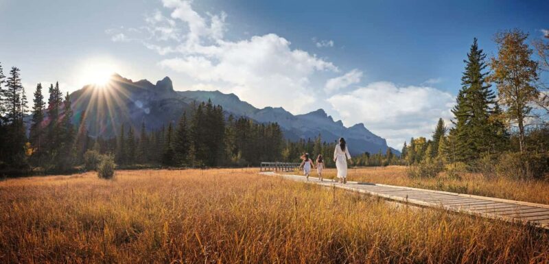 Private Tour: Canmore 2-Hour Guided Nature Walk - Wildlife Watching and Animal Encounters