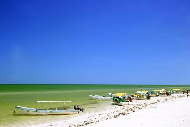 Private Tour Celestun Flamingo Watching and Beach - Explore the Natural Beauty of Celestun with a Private Tour in Merida