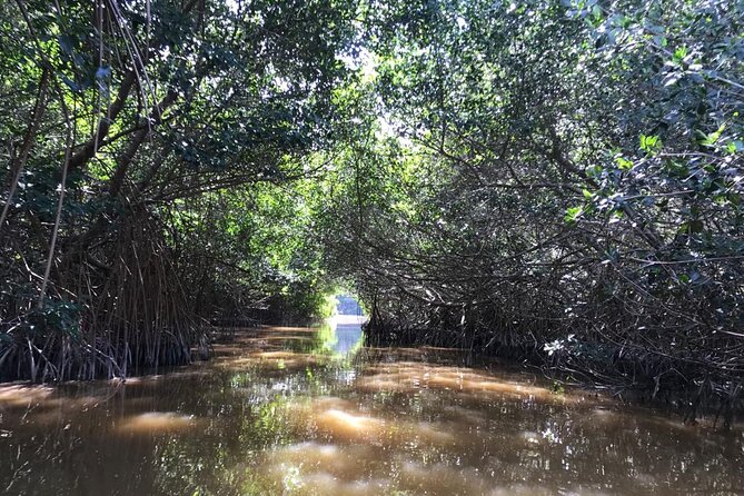 Private Tour Celestun Flamingo Watching and Beach - Flexibility and Booking Considerations