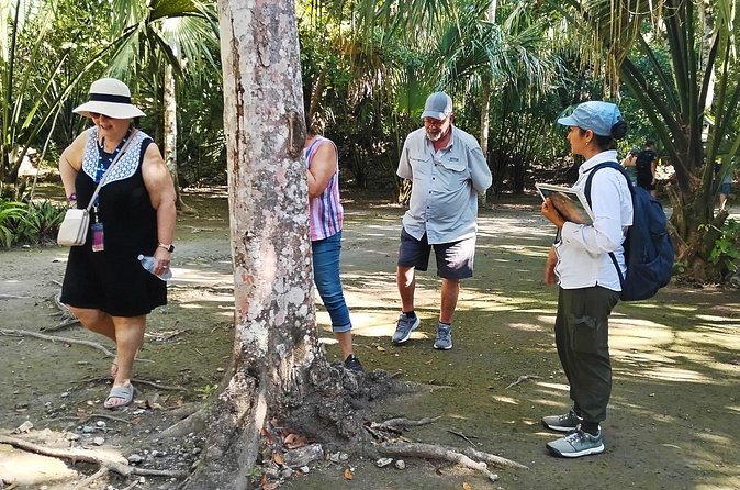 PRIVATE TOUR Chacchoben Mayan Ruins from Costa Maya - Logistics and Comfort