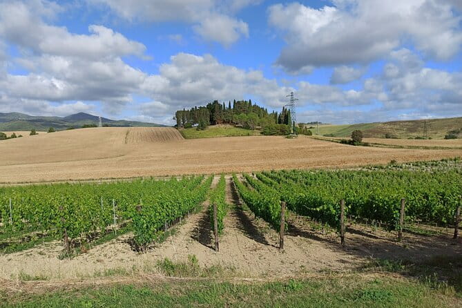 PRIVATE TOUR: Chianti Afternoon tour with visit to 2 wine farms - Touring the Via Chiantigiana: The Iconic Wine Route