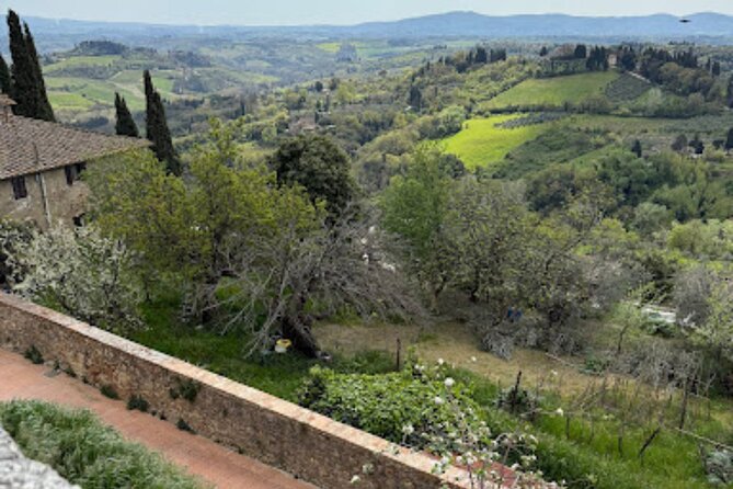 Private Tour- Chianti By Minivan At Sunset - Key Points