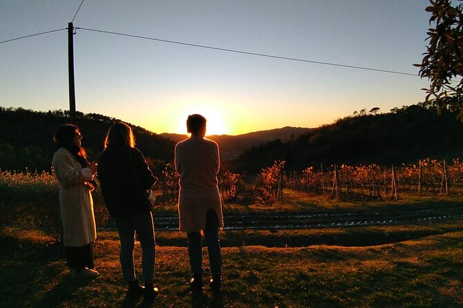 Private Tour- Chianti By Minivan At Sunset - Optional Tuscan Dinner Upgrade