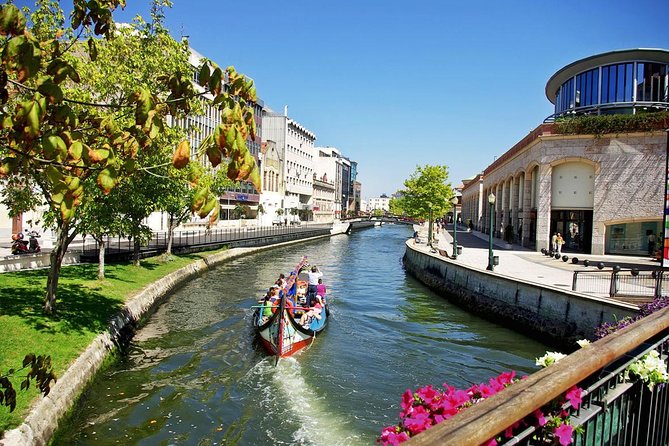 Private Tour: Coimbra (World Heritage) & Aveiro (Little Venice) tour day trip from Lisbon with lunch - Safety Measures and Booking Flexibility