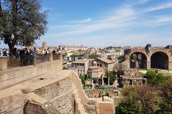 Private Tour Colosseum, Roman Forum & Palatine /arena optional - The Significance of Palatine Hill