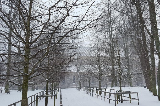 Private tour Copenhagen to Lund & Malmö City daytrip - Walking Tour of Malmös Historic and Modern Sights