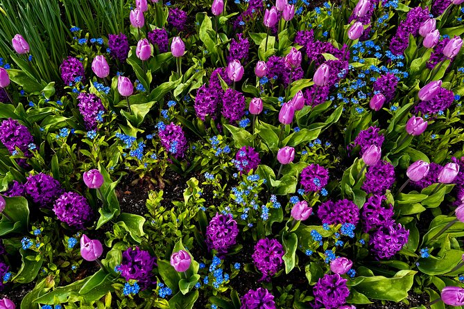 Private Tour Countryside Drive to Butchart Gardens & Victoria - Practical Details: Meeting Points and Duration