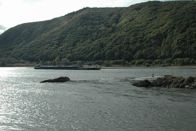 Private Tour: Customizable Rhine Valley Day Trip from Frankfurt - Optional Activities to Enhance the Experience