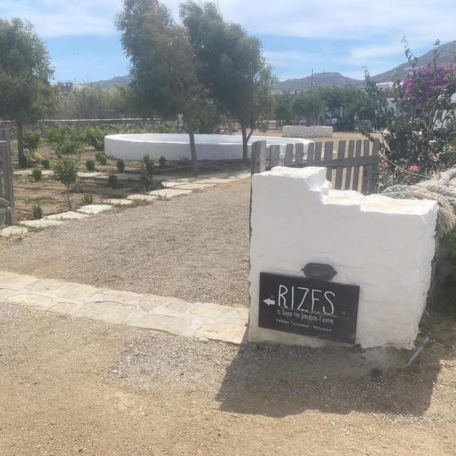 Private Tour: Customize Your Perfect Day in Mykonos - Comfort and Convenience in a Private Jeep