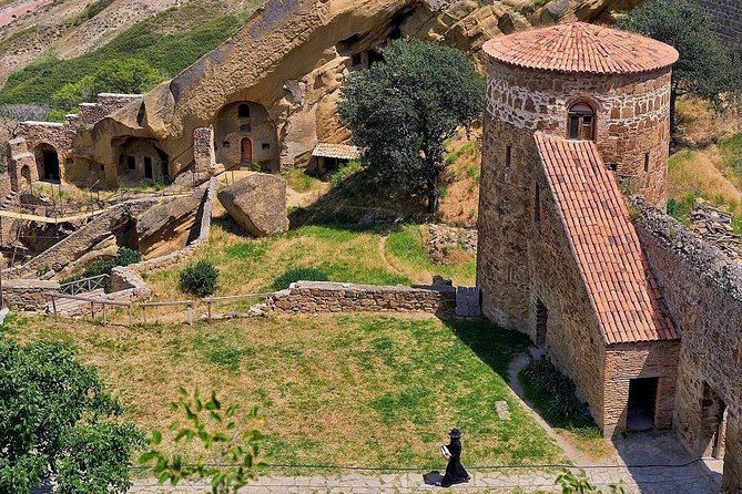 Private Tour: David Gareji (Free wine Tasting) - The Experience of the Guide and Cultural Insights