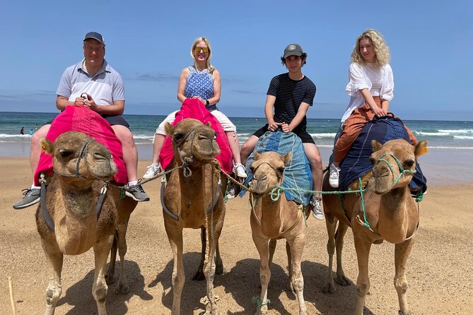 Private Tour: Day through Gibraltar and Morocco, Tangier from Seville - Camel Ride and Hercules Cave Near Tangier