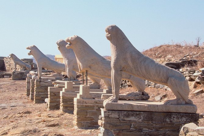 Private Tour: Delos Day Trip from Mykonos - The Convenience of Private Transfers and Flexible Timing