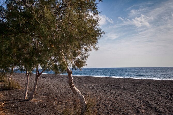 Private Tour: Discover South of Santorini - Logistics, Pacing, and Physical Requirements