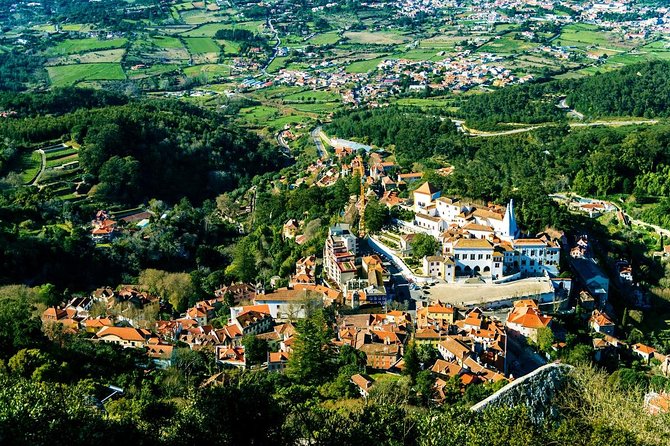 Private Tour: Discover the Best of Sintra in a half-Day Tour - Discover Sintra’s Palaces and Estates: Monserrate Palace and More