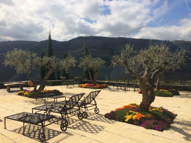 Private Tour: Douro Valley Wine and Food from Oporto - Explore the Douro Valley with a Personalized Private Tour from Porto