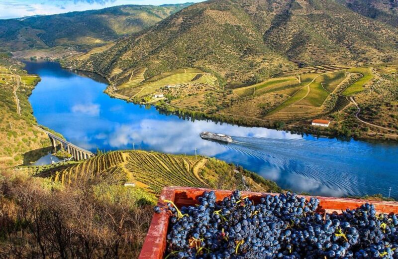 Private Tour: Douro Valley Wine and Food from Oporto - Visiting Régua and Pinhão: Heart of the Douro Wine Region
