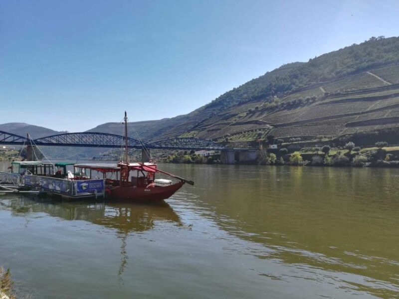Private Tour: Douro Valley Wine and Food from Oporto - Wine Tasting at Two Traditional Farms