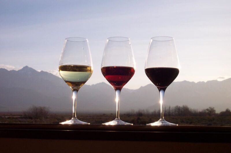 Private Tour: Douro Valley Wine and Food from Oporto - Considerations and Limitations