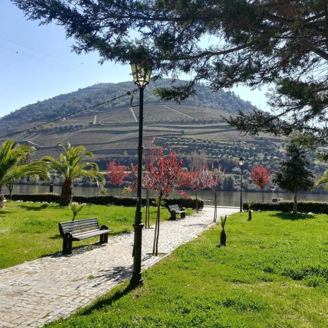 Private Tour: Douro Valley Wine and Food from Oporto - Booking Flexibility and Cancellation Policies