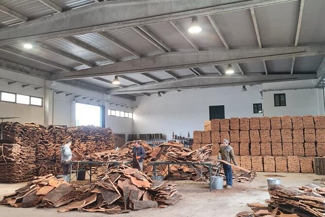 Private Tour Évora - Wine tasting, History & some secrets - The Chapel of Bones: A Macabre but Fascinating Stop