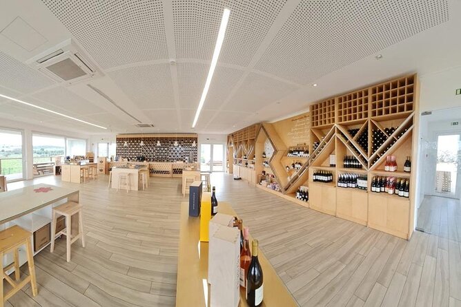 Private Tour Évora - Wine tasting, History & some secrets - Customization and Flexibility of the Itinerary