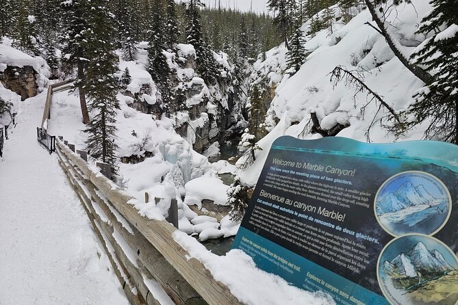 Private Tour Experience at Radium Hot Springs and Kootenay Park - Key Points