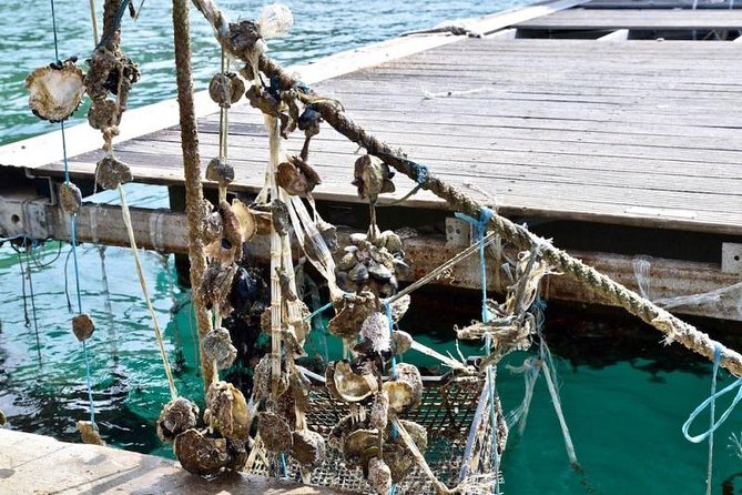 Private Tour Experience Dubrovnik North-West Countryside & Riviera - Discover the Charm of Dubrovnik’s North-West Countryside and Riviera