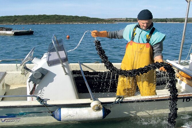 Private Tour Experience Dubrovnik North-West Countryside & Riviera - Visiting Salty Slano Village