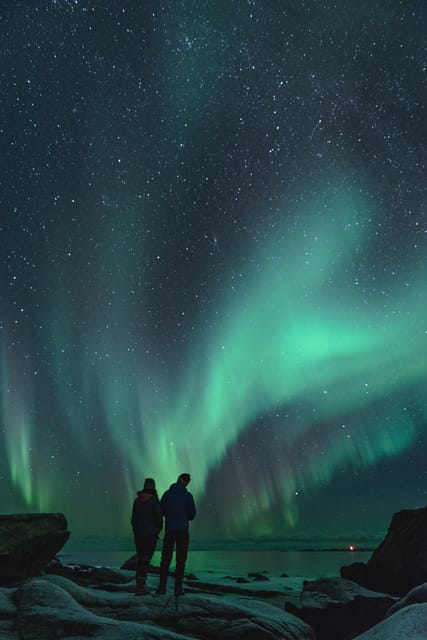 Private Tour - Experience the Magic of the Northern Lights - Prime Viewing Spots in Lofoten