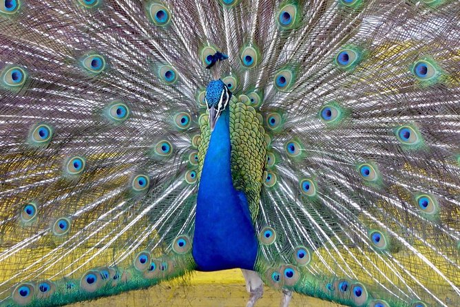 Private Tour: Florida Everglades Airboat Ride and Wildlife Adventure - Who Will Appreciate This Tour?