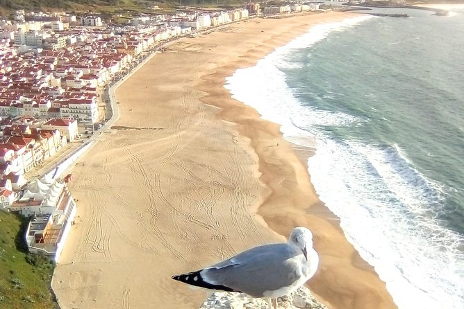 Private tour for 1 to 8 people: Fátima, Batalha, Nazaré and Óbidos - Practical Details of the Tour Experience