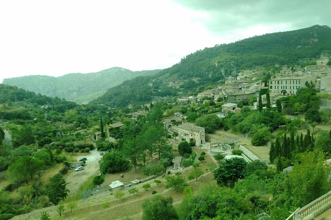 Private tour for my family from a cruise - Key Points