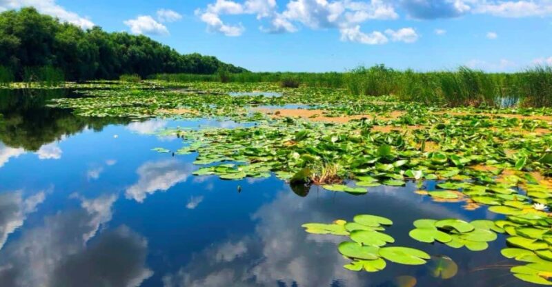 Private Tour from Bucharest to Danube Delta 2 Days Tour - What the Boat Trip Inside the Danube Delta Looks Like