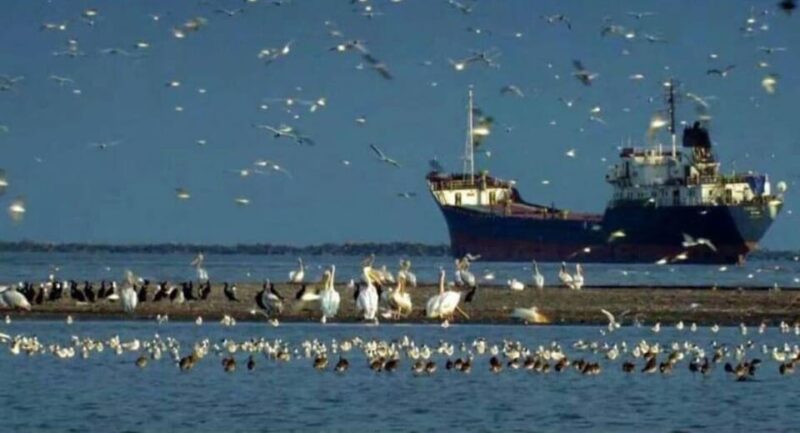 Private Tour from Bucharest to Danube Delta 2 Days Tour - The Ecosystem and Bird Species: What Makes This Tour Special