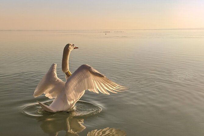Private tour from Budapest to a top hidden treasure region of Europe: Lake Balaton - Best Time for Visiting Lake Balaton