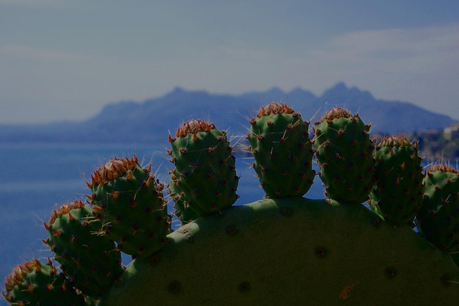 PRIVATE TOUR from Catania to Agrigento (Valley of Temple) and Piazza Armerina - Exploring the Valley of Temples in Agrigento