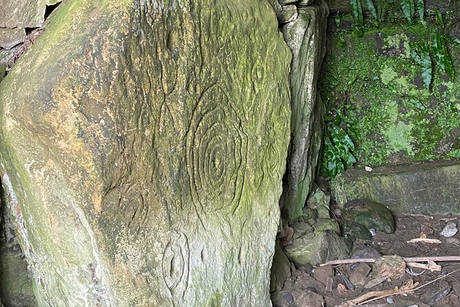 Private Tour from Dublin: Hill of Tara Trim Castle, Celtic sites - The Atmosphere and History of Bective Abbey