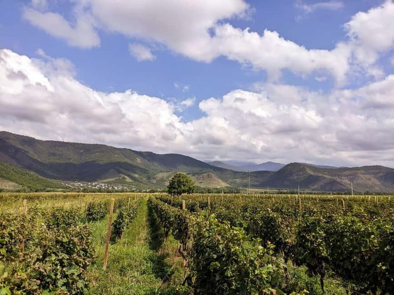 Private tour from KUTAISI: Tskhrajvari, Racha and Winery - The Wine Tasting at Khvanchkara