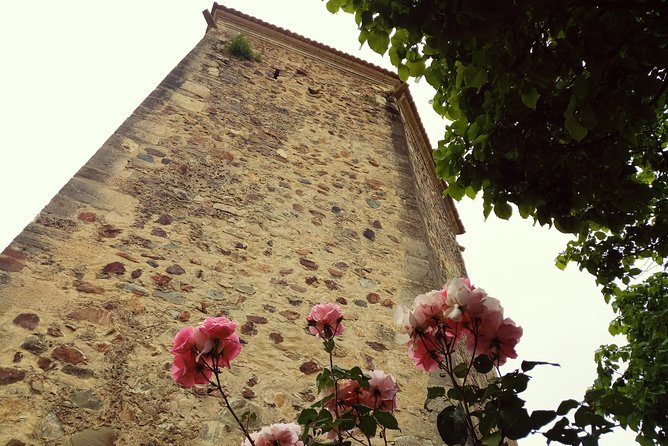 Private Tour from Lisbon: Knights Templar, Tomar (UNESCO Site) 9H - Discovering Tomar’s Historic Center and Religious Heritage